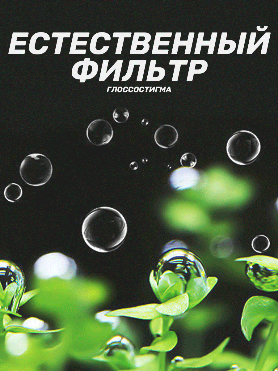 Семена растений для аквариума "Glossostigma", семена декоративных растений 10 г — фото 1