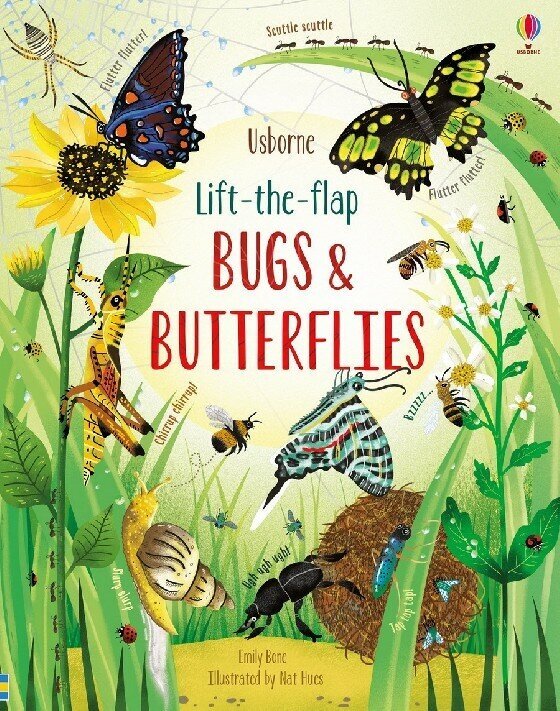 Usborne Lift -the-flap Bugs and Butterflies