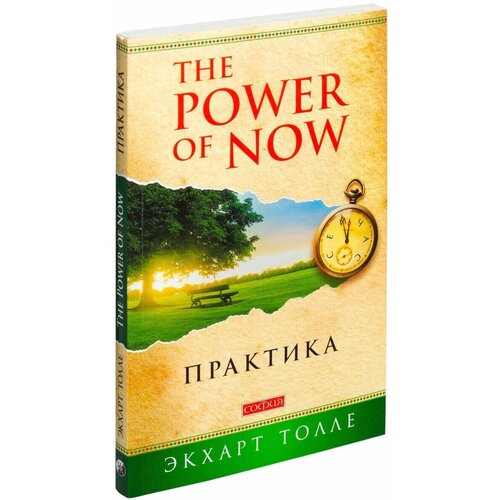 Толле Э. The Power of Now. Практика (мягк.)