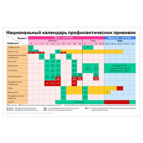 Плакат А2 Национальный календарь профилактических прививок развивающий плакат