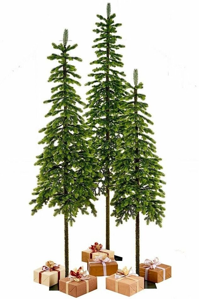Искусственная елка Королева Тянь Шаня 250 см, литая 100%, Max CHRISTMAS