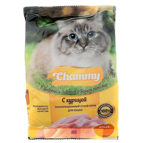 Сухой корм Chammy для кошек, курица, 350 г