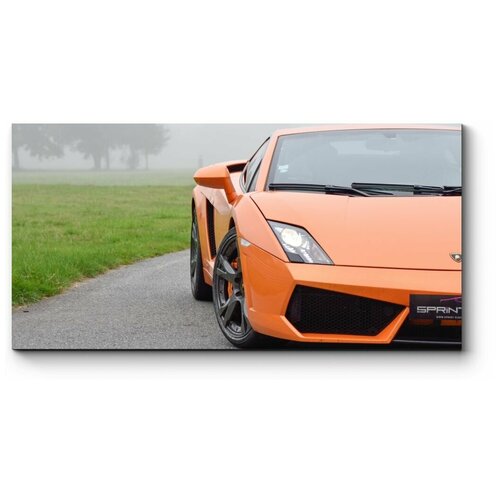   Lamborghini Gallardo 130x65