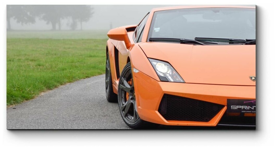 Модульная картина Lamborghini Gallardo 170x85