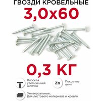 Гвозди кровельные (толевые) Профикреп оцинкованные 3 х 60 мм, 0,3 кг