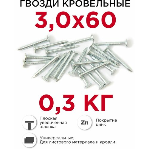 фото Гвозди кровельные (толевые) профикреп оцинкованные 3 х 60 мм, 0,3 кг