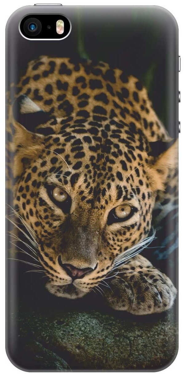 Силиконовый чехол на Apple iPhone SE / 5s / 5 / Эпл Айфон 5 / 5с / СЕ с рисунком "Загадочный леопард"