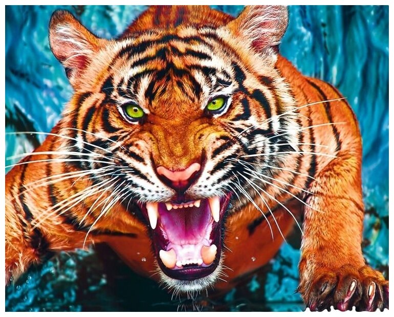 Алмазная мозаика Colibri Нападающий тигр 40х50 см