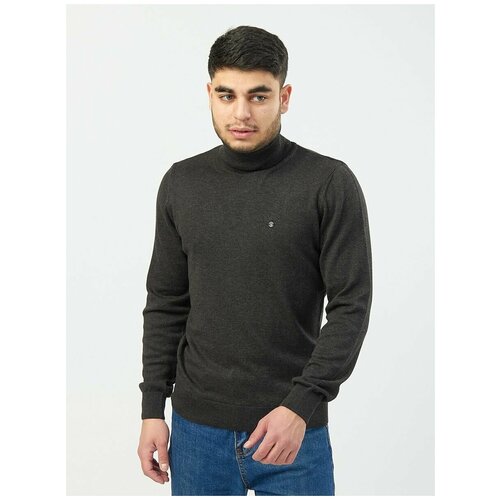 Водолазка мужская Pool Park