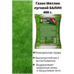 Семена газона Мятлик луговой Балин, 400г. - изображение