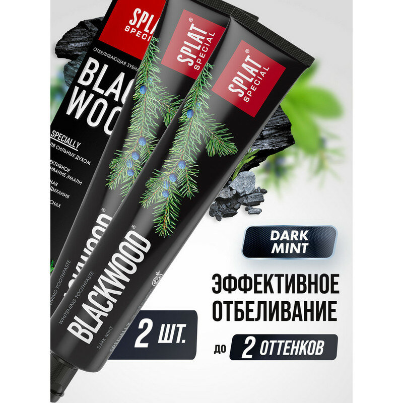 Зубная паста серии Special "SPLAT (сплат) BLACKWOOD/черное дерево". 75 мл, (2 шт)
