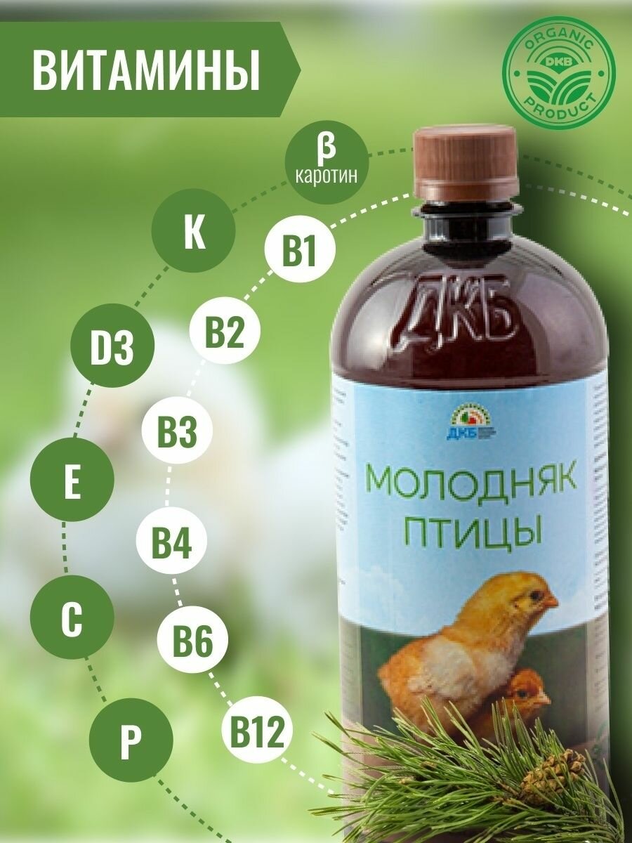 ДКБ витамины кормовые добавки молодняк птицы 0,9л - фотография № 3