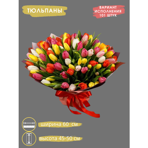 Букет Тюльпаны микс 101 штук от магазина Купить Цветы /цвет белый, красный, розовый, кремовый, лимонный, желтый, оранжевый / подкормка в подарок