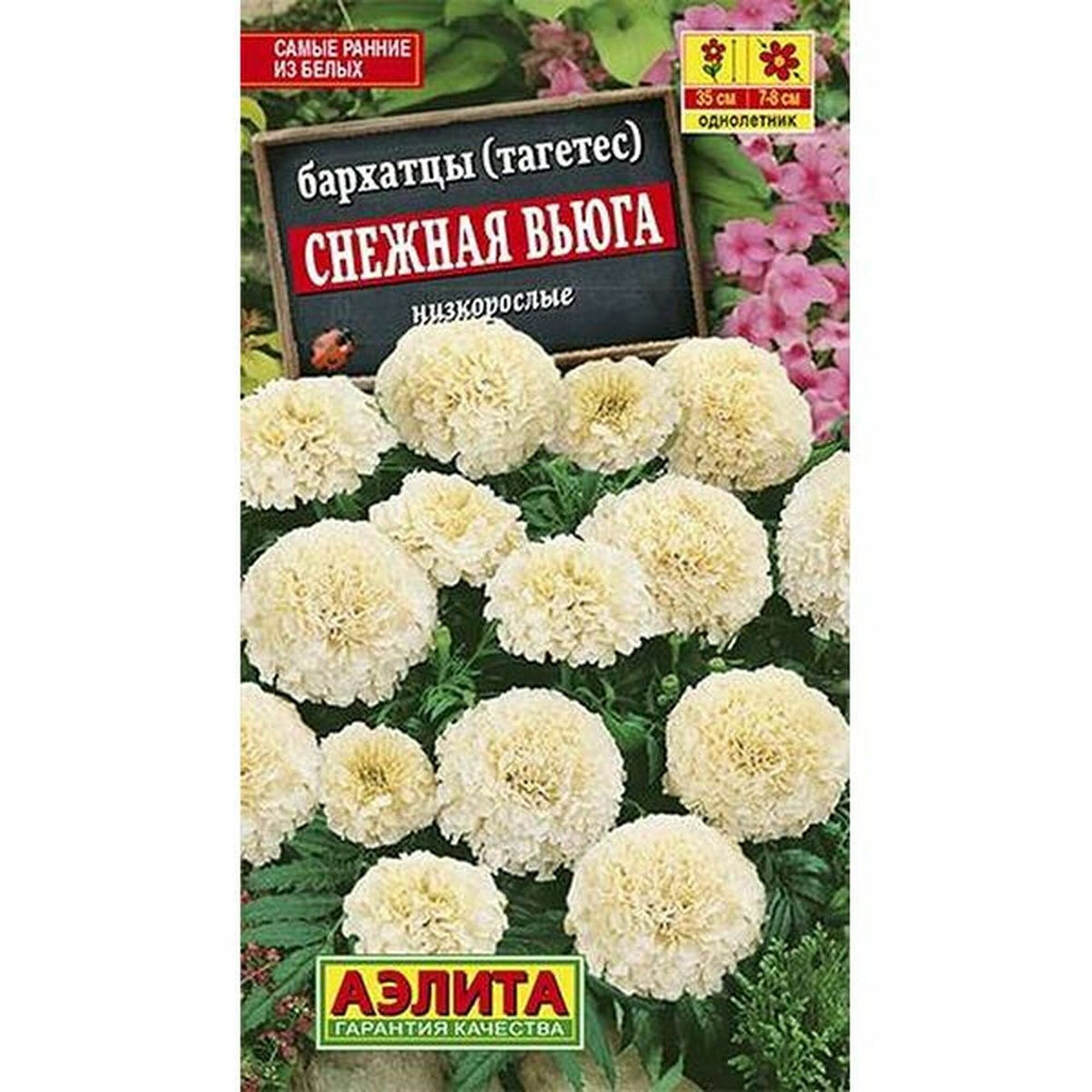 Семена Бархатцы 