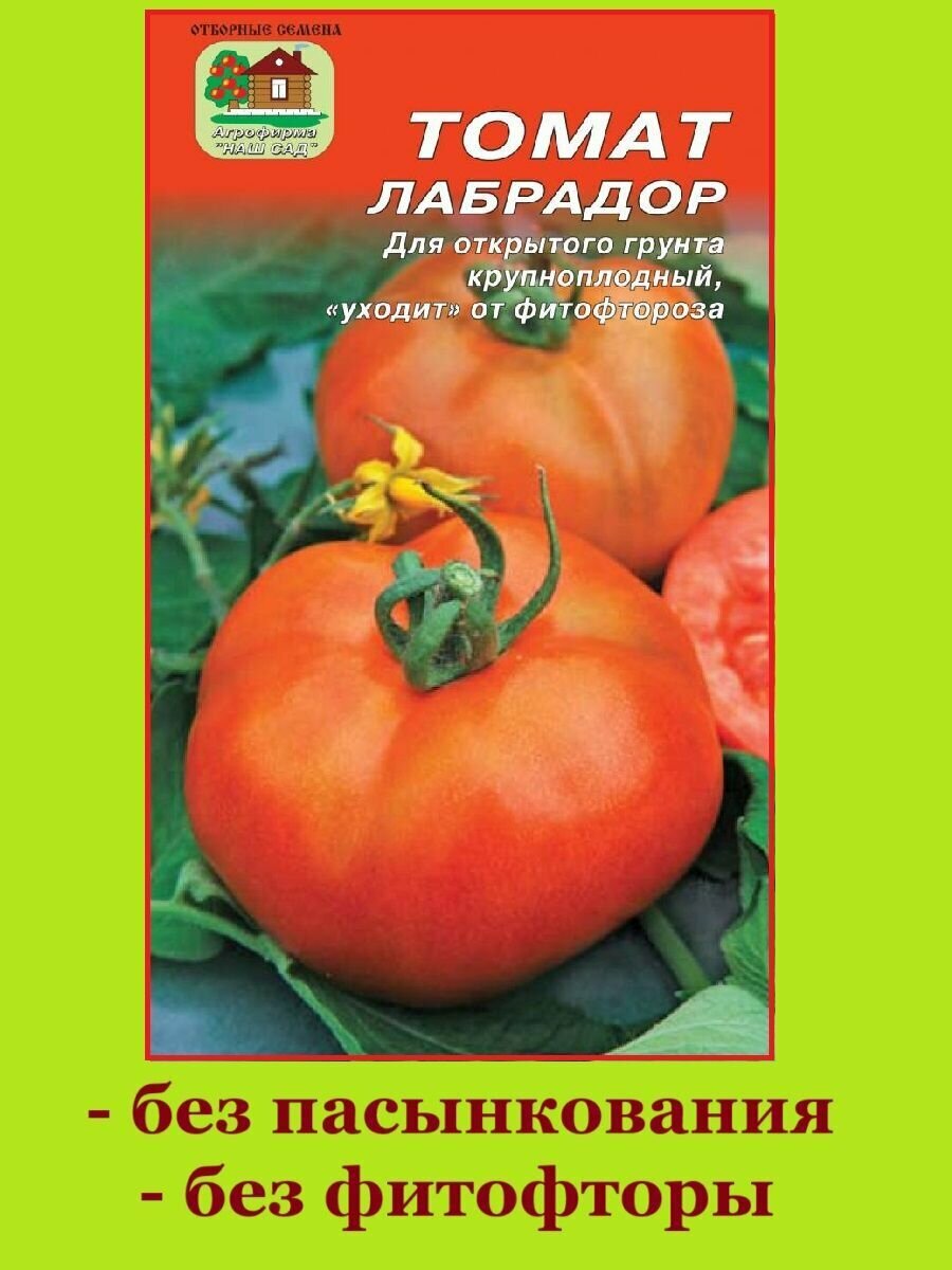 Томат Лабрадор  1 упаковка  20 штук семян  Наш сад