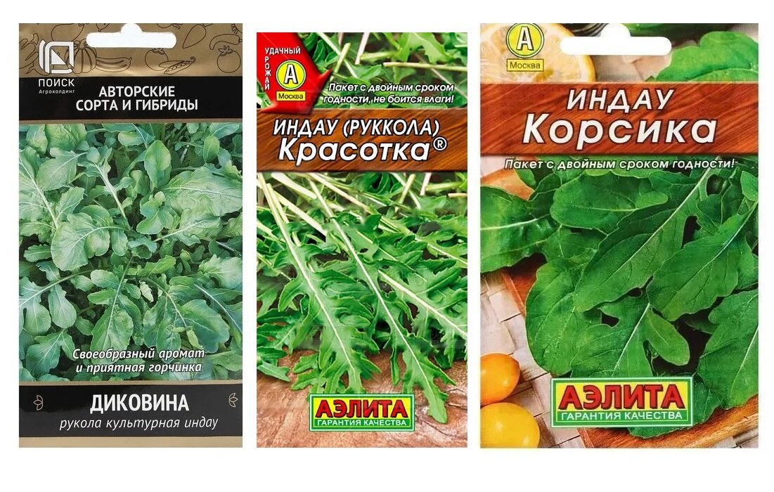 Набор семян руколы "Пикантная зелень" (Рукола Диковина, Корсика, Красотка)