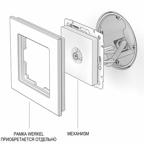 фото Тв-розетка оконечная werkel w1183064 графит матовый ip20