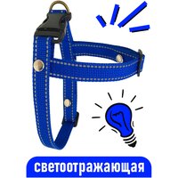 Шлейка для собак Petsare светоотражающая обхват груди 44-60 см, синий