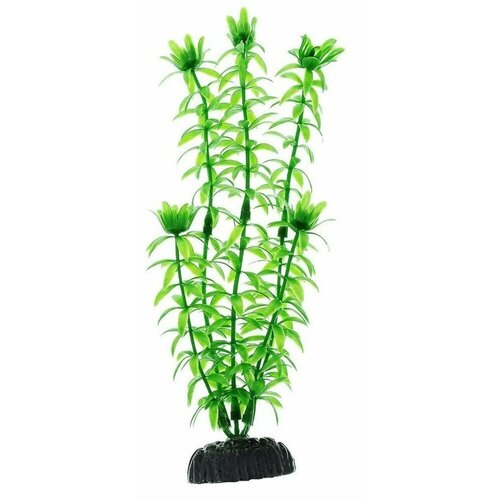 Пластиковое растение Barbus Элодея 20 см.