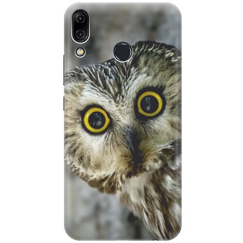 фото Re:pa накладка transparent для asus zenfone 5z (zs620kl) с принтом "удивленная сова"