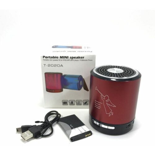 Портативная колонка T-2020 55000₽