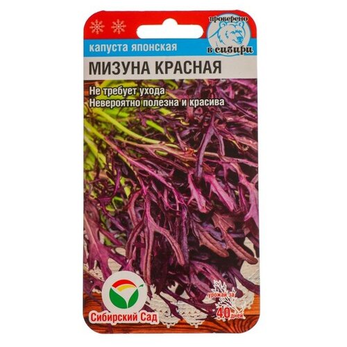 Семена Капуста японская Мизуна, красная 0,5 гр капуста мизуна красная 0 5 гр яп семена сиб сад