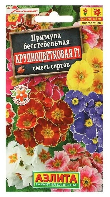 Семена цветов Примула "Крупноцветковая", смесь окрасок, F1, 7 шт (1шт.)