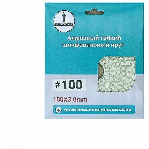 Алмазный гибкий шлифовальный круг Черепашка Mr. Экономик 100 № 100, 320-0100 диск полировальный алмазный 3 дюйма 80 мм 4 дюйма 100 мм зернистость 80 2000