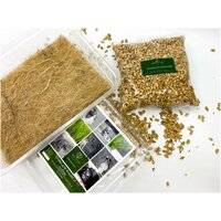 Трава для корма Кошек в лотке, трава для животных собак и грызунов, витамины для животных
