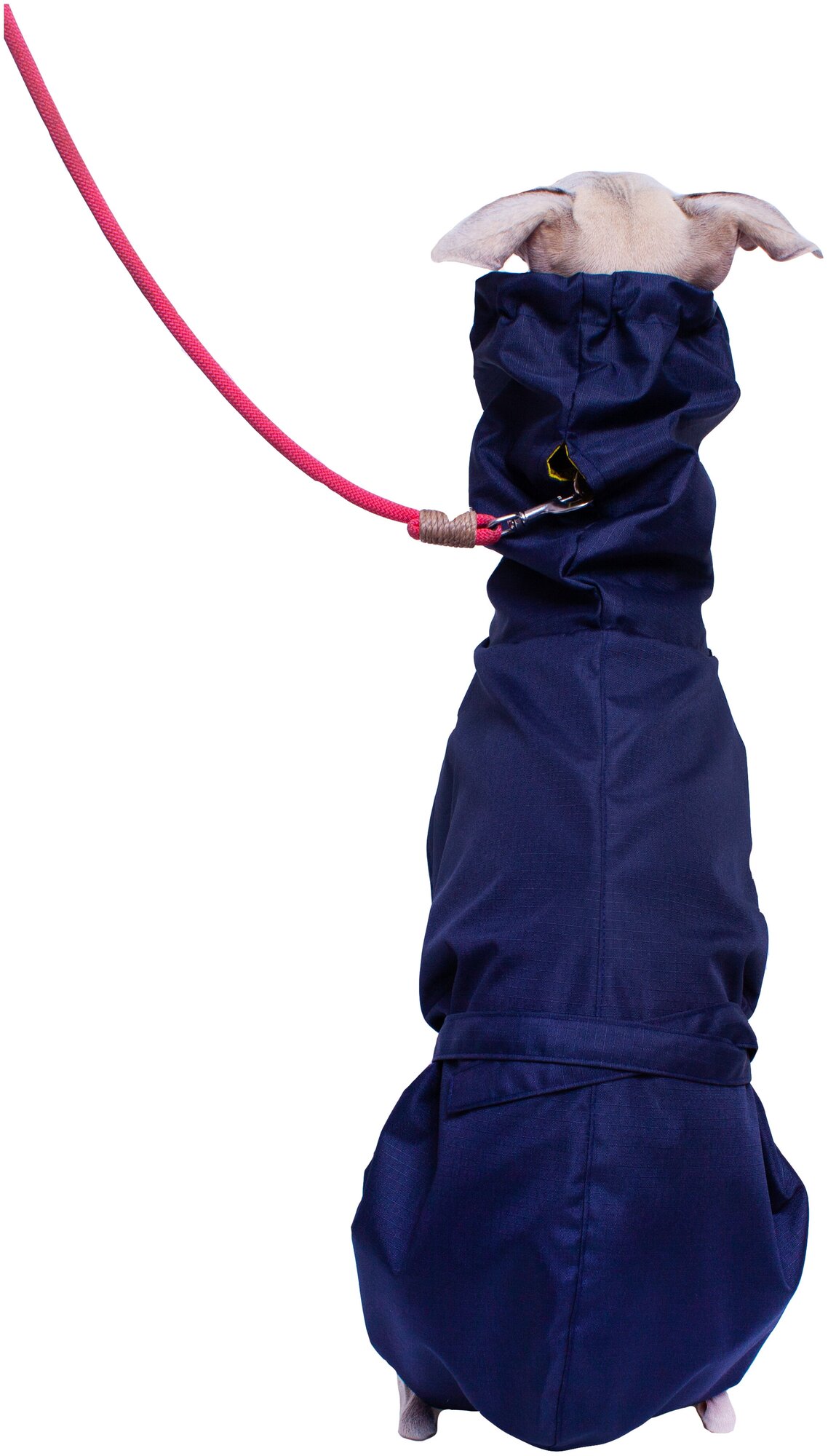 Дождевик для собак породы Левретка, цвет: синий, желтый, размер S3 .Дождевик для бесхвостых собак и с низкоопущенным хвостом - фотография № 5