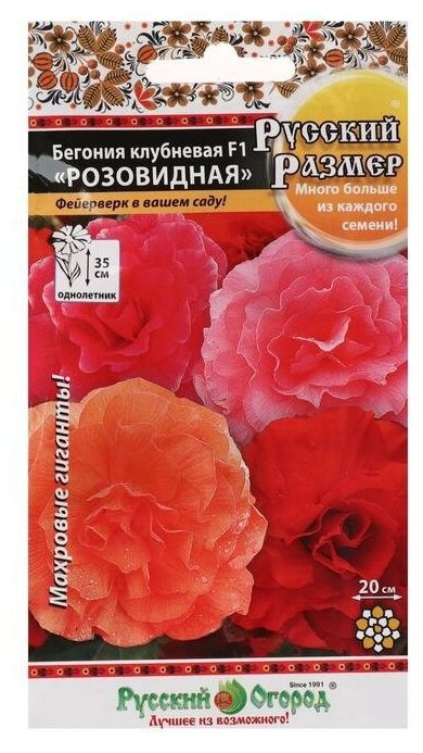 Семена цветов Бегония клубневая "Розовидная" F1 серия Русский размер смесь 5 шт