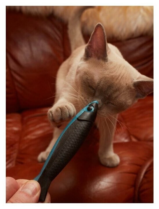 Игрушка для кошек Japan Premium Pet пластиковая рыбка с мататаби для массажа дёсен и переключения внимания кошки от опасных проводов. - фотография № 7