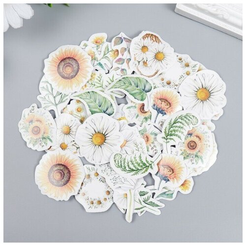 Наклейки для творчества Ромашки и подсолнухи набор 46 шт 44х44х11 см 541₽
