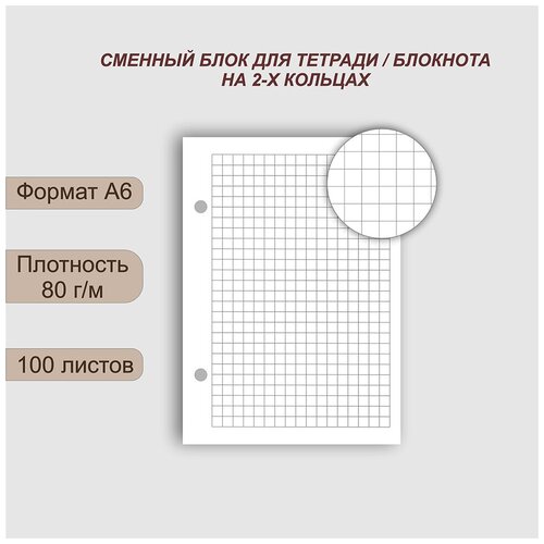 Сменный блок А6 для блокнота/ежедневника, 100 листов в клетку, 80 г/м, 2 отверстия сменный блок а5 для блокнота ежедневника белый 100 листов в линию 80 г м 4 отверстия