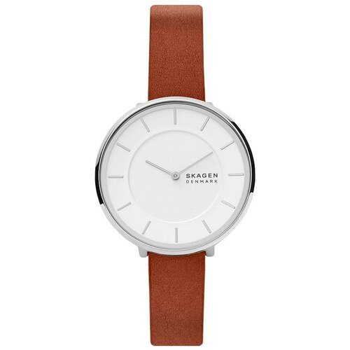 фото Наручные часы skagen skw3015