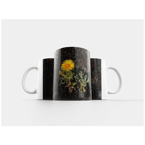 фото Кружка "науплий, промежуточный, цветок" 320 мл lotsprints