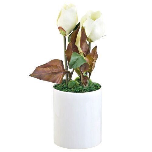 br63060 Искуственный цветок ENS GROUP Белые Цветы (18х49 см)