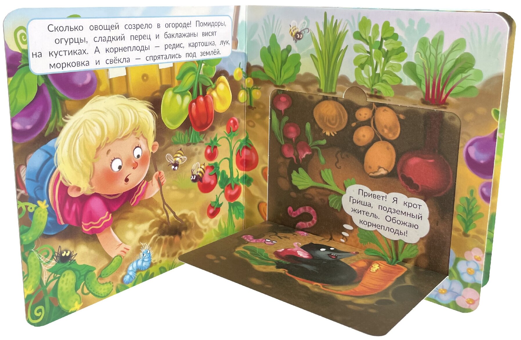 Детская книжка с окошками ЧТО под землей? Подарок малышу