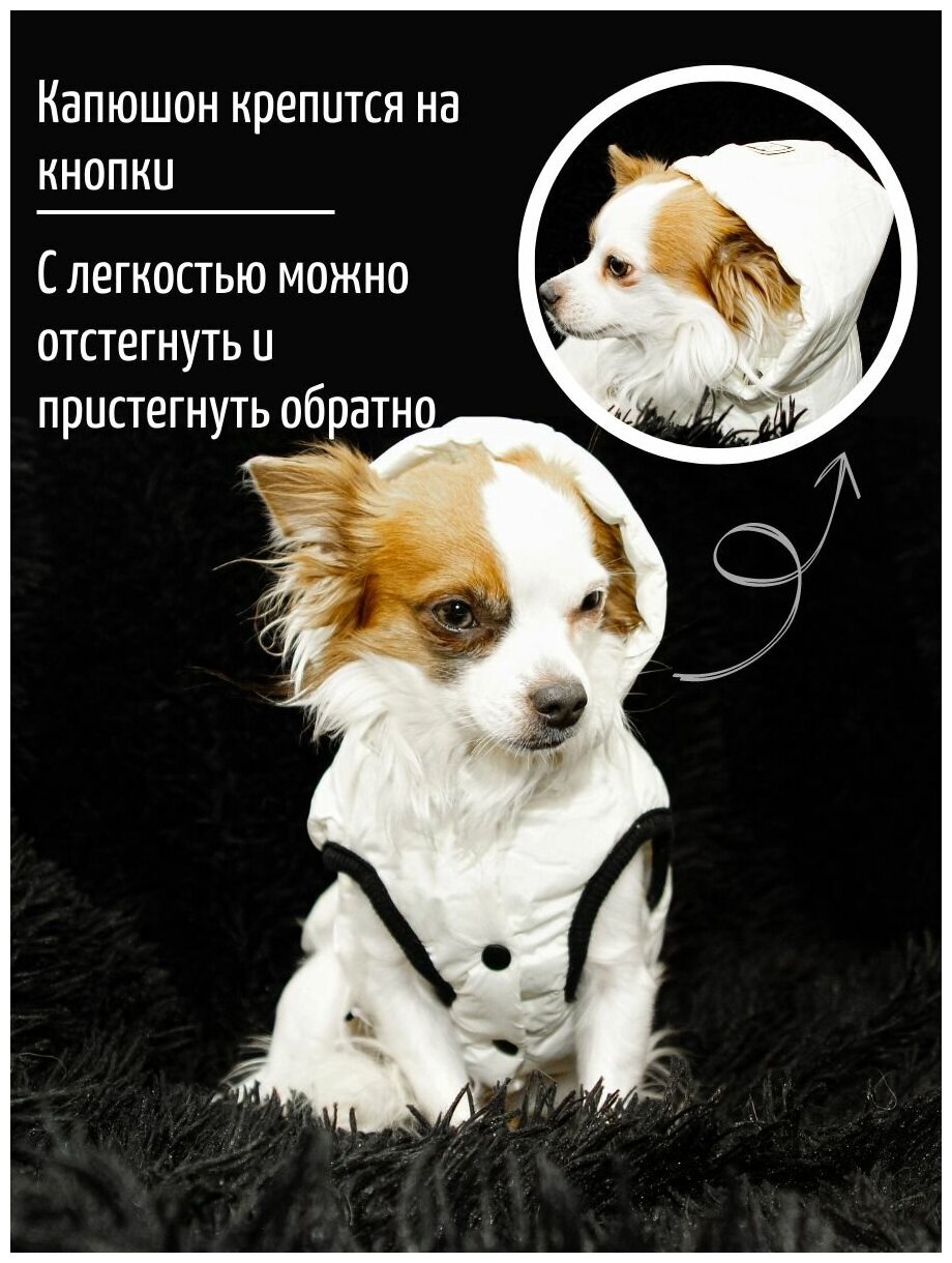 Зимняя куртка с капюшоном для собак и кошек - фотография № 3