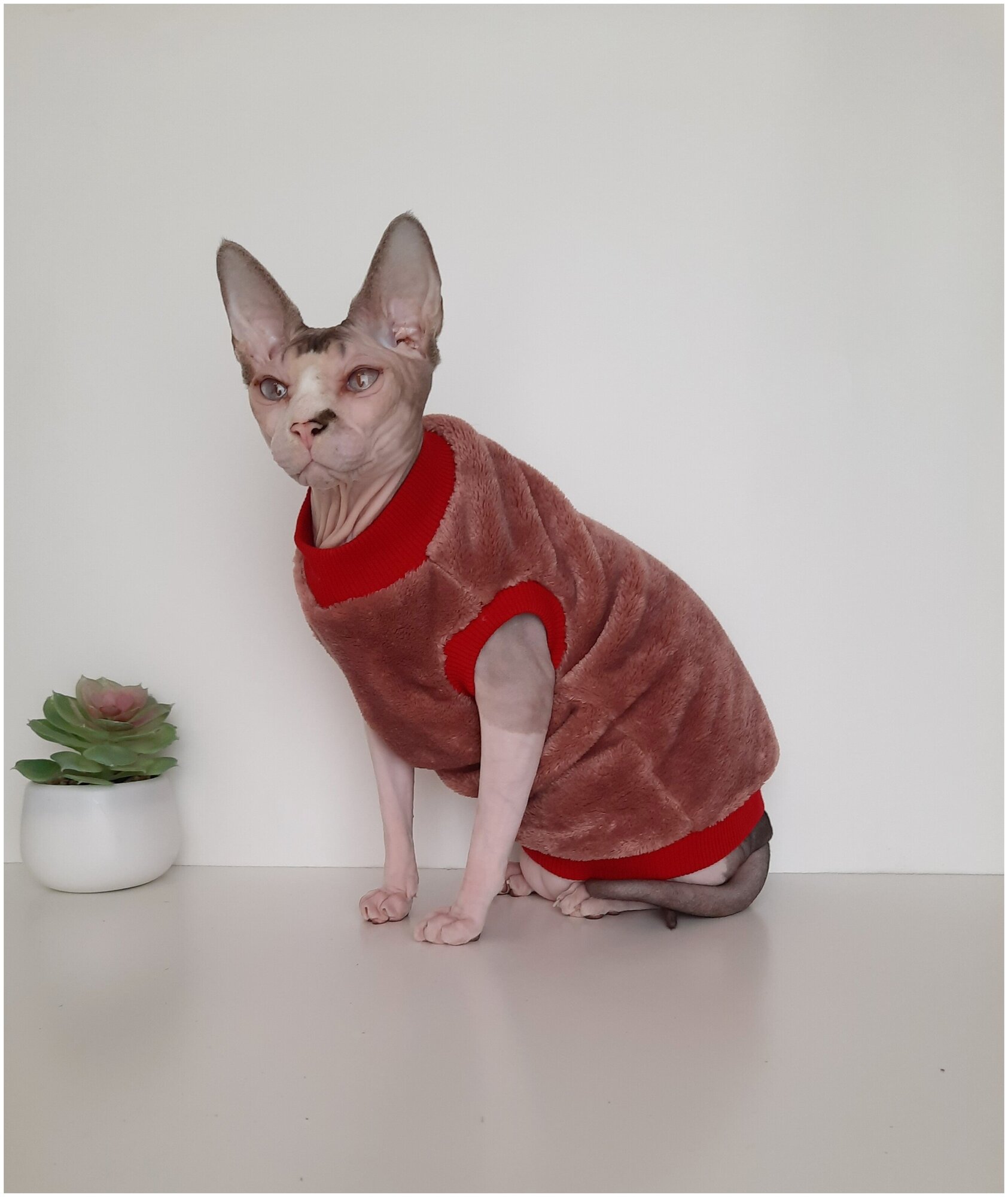Толстовка, свитер, шуба для кошек сфинкс, размер 40 (длина спины 40см), цвет коралл / Одежда для кошек сфинкс / одежда для животных - фотография № 16