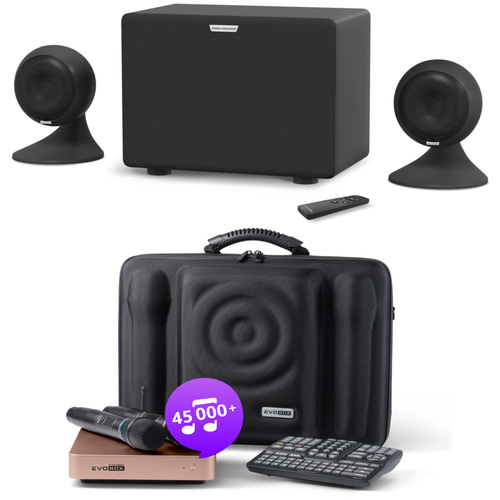 Караоке комплект EvoBox Plus Gold c микрофонами и акустикой EvoSound Sphere 2.1 Black