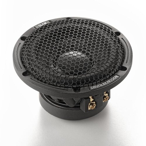 BLAM LM 80 - широкополосная акустическая система 1769000₽