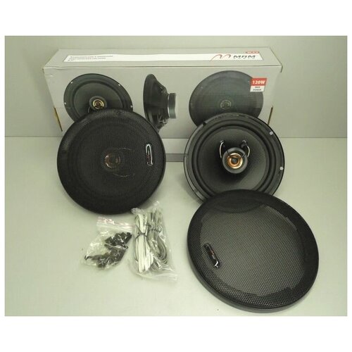 Динамики BL-62 262000₽