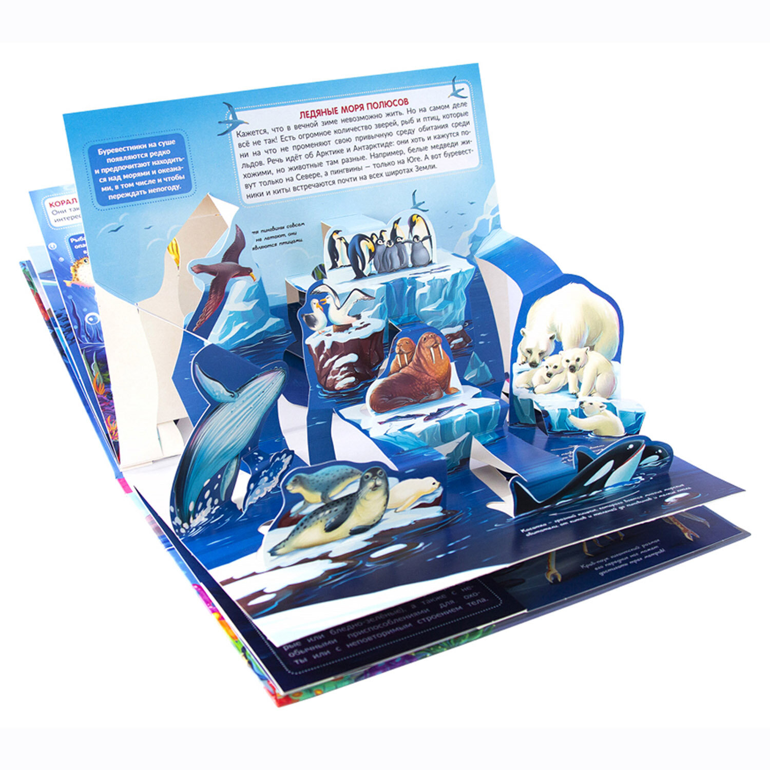 Книжка-панорамка. Энциклопедия POP UP. Живая планета. Моря и океаны 34095-9/34729-3 - фото №7