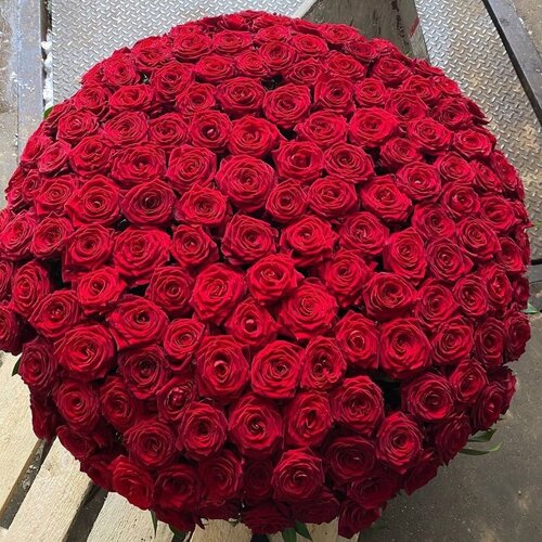 Красные розы в шляпной коробке "Red Naomi" 201шт, подарок на любое торжество Merry Flowers Boutique
