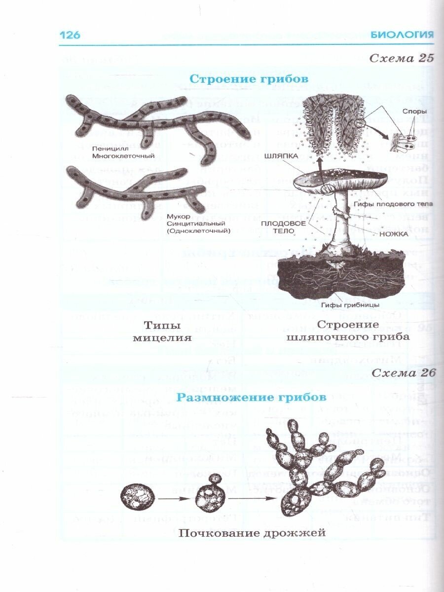ЕГЭ. Биология. Весь школьный курс в таблицах и схемах для подготовки к единому государственному экзамену - фото №7