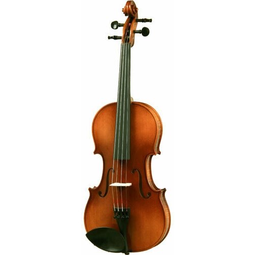 Violin ARS Music №026A - Advanced student 4/4 violin. French style, Wittner tailpiece, Tonica strings