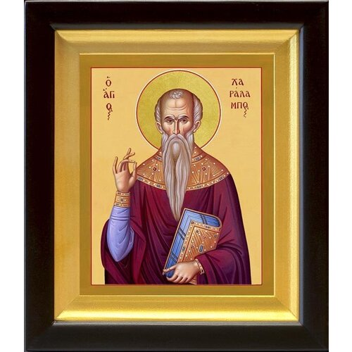 Священномученик Харалампий Магнезийский, икона в киоте 14,5*16,5 см