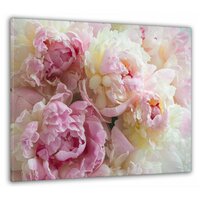 Картина на стену для интерьера / цветы / "Розовые пионы" 50x70 см MK10177_G