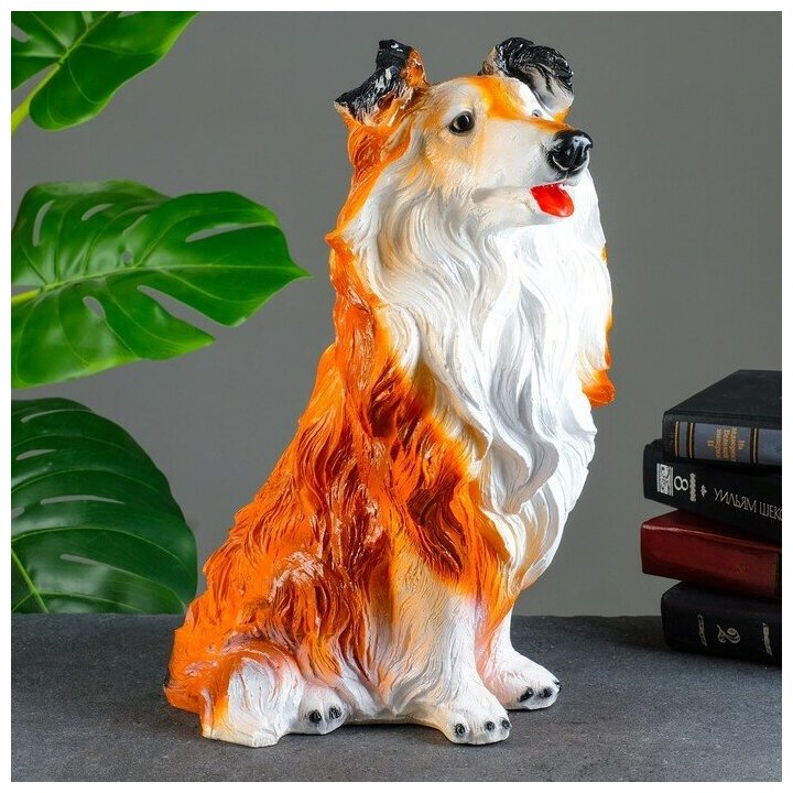 Копилка "Колли" 38х28х20см